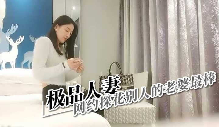 (四区)极品人妻，网约探花别人的老婆最棒