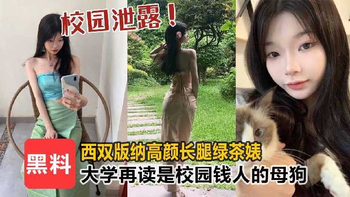 西双版纳高颜长腿绿茶婊大学在读是校园有钱人的母狗-avr