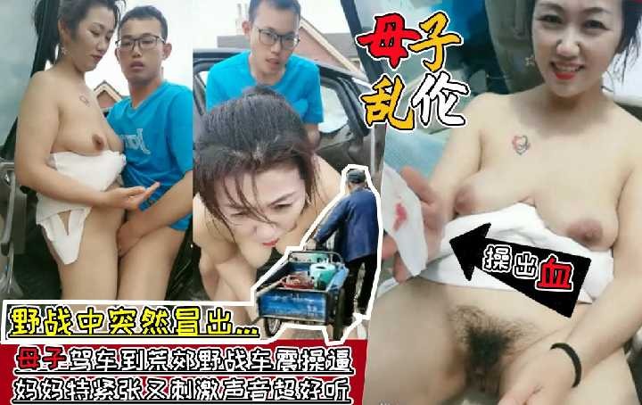 母子乱伦-母子驾车到荒郊野战车震海报剧照