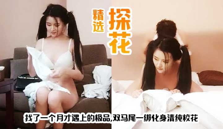 精选探花-找了一个月才遇上的极品海报剧照