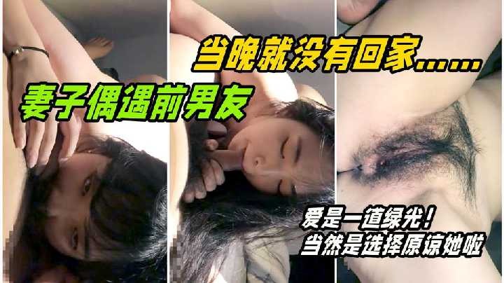 妻子偶遇前男友 当晚就没有回家-avr