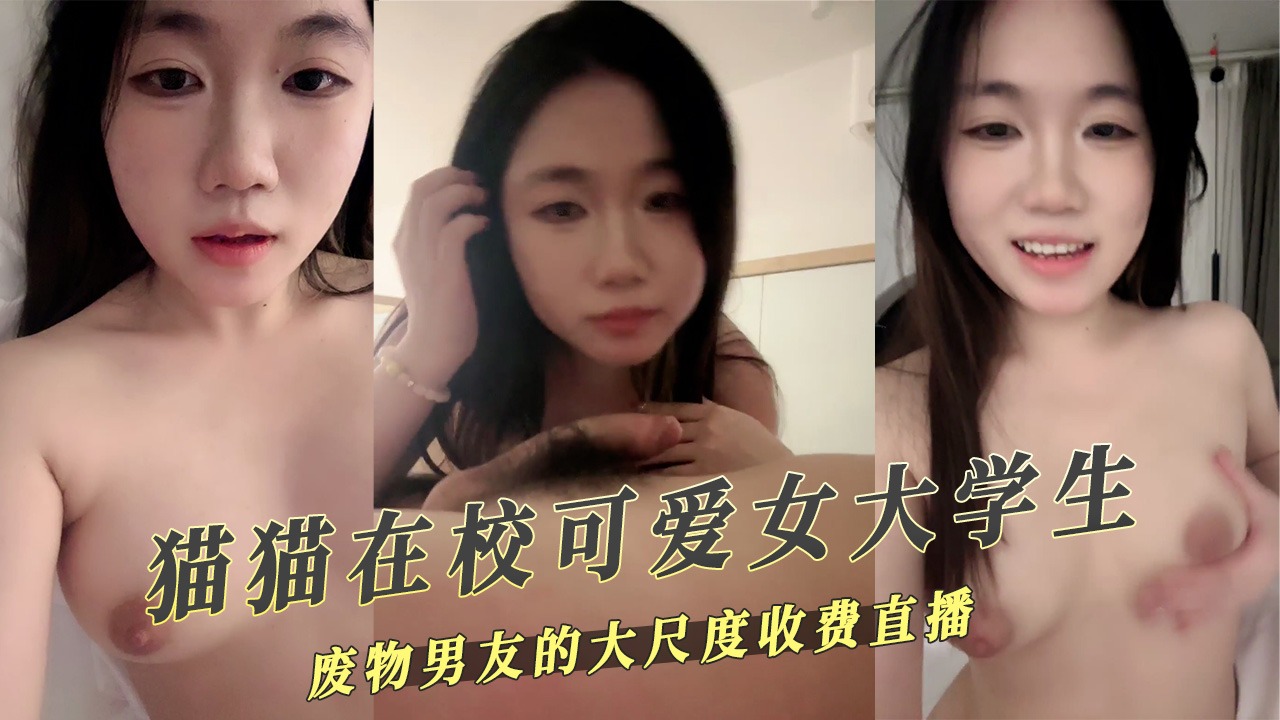 猫猫在校可爱女大学生大尺度收费直播-avr